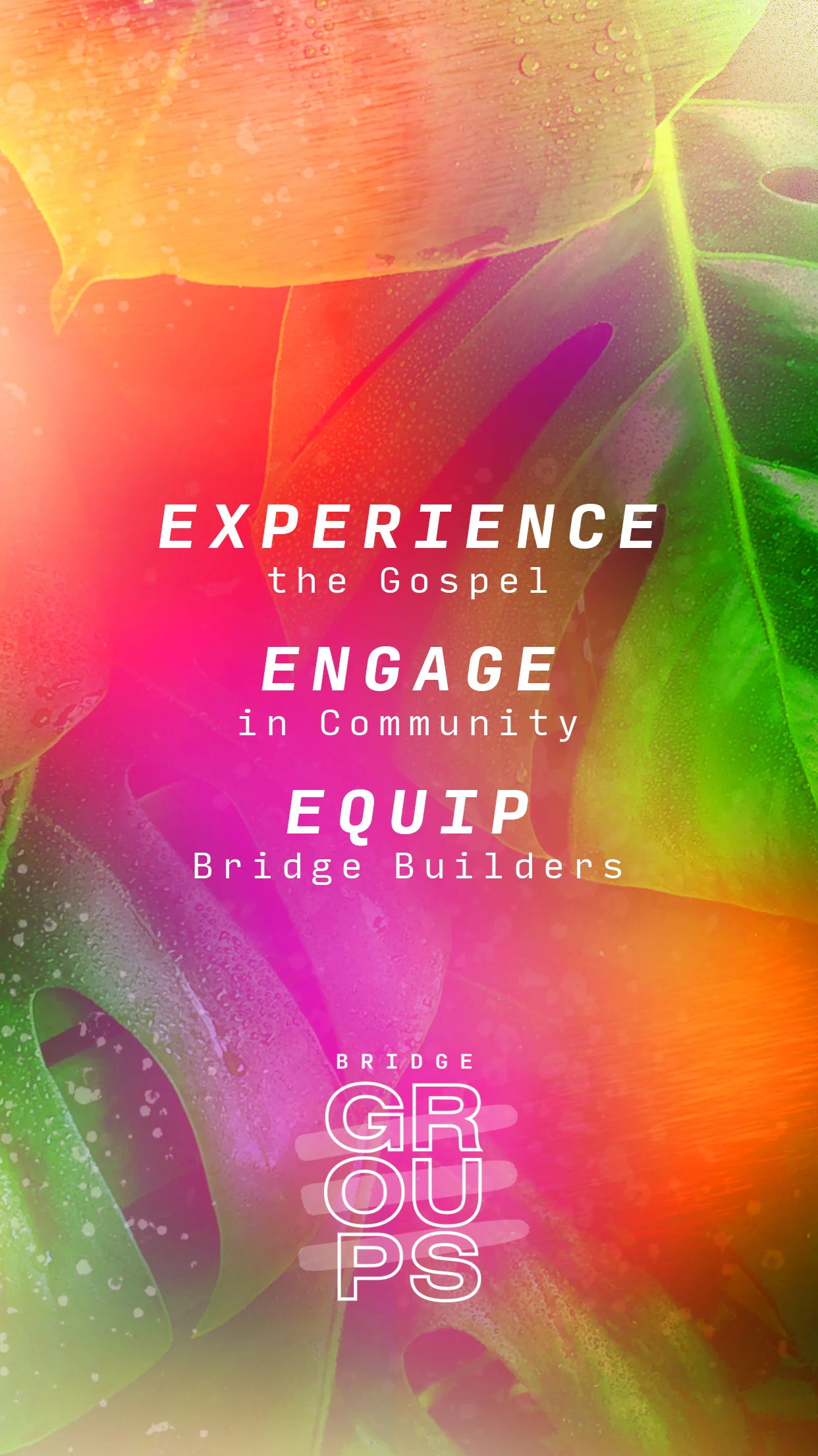 Bridge Groups Branding